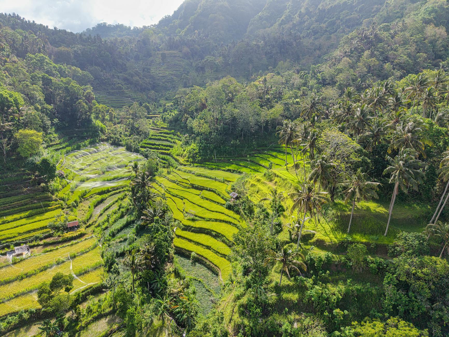 Bali travel guide — WanderSteals budget travel