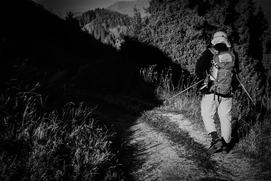 4. Osprey Daylite Plus 20L Daypack