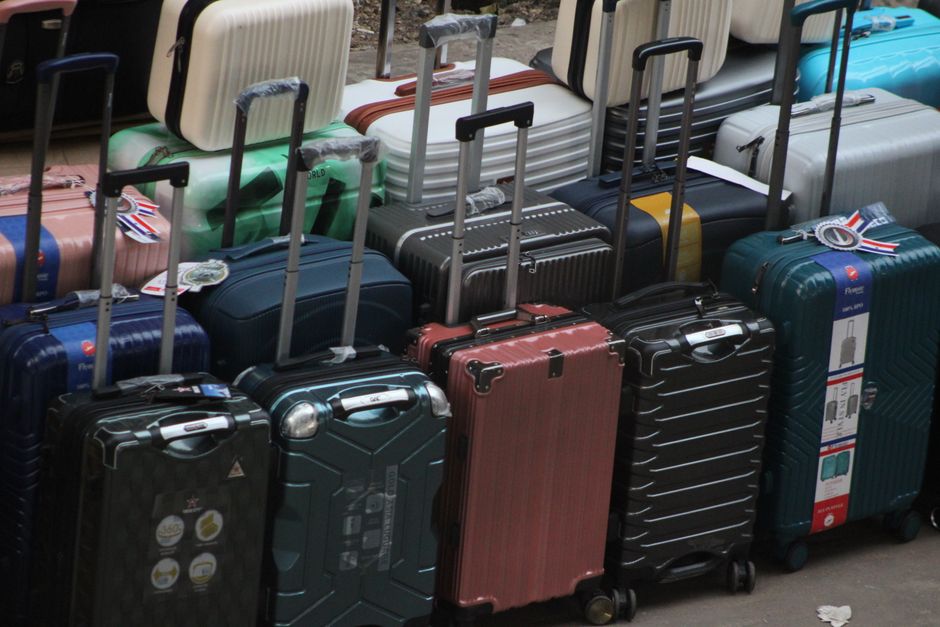 Amazon Basics Hardside travel gear