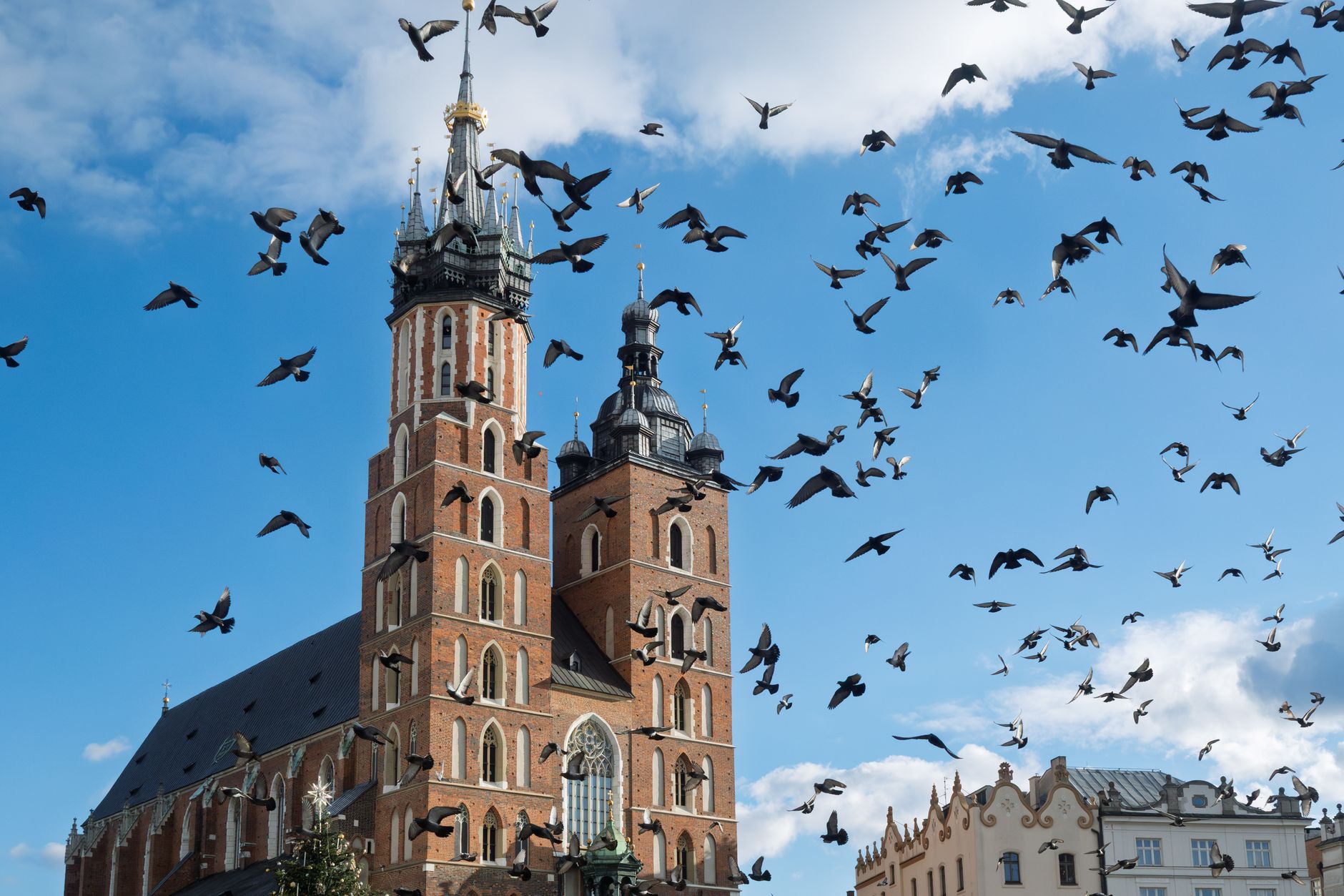Price Comparison: Edinburgh to Krakow Flights (Jun — Krakow travel guide