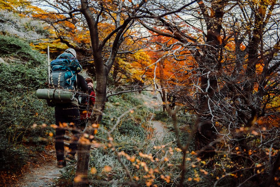 Osprey Farpoint 40 Travel Backpack