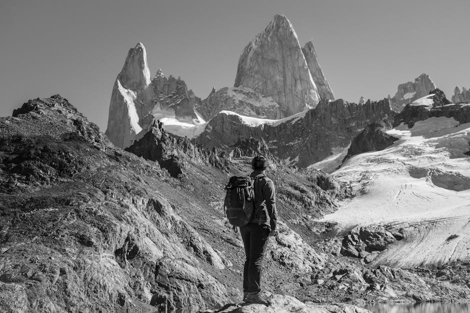 Patagonia Black Hole Pack 25L