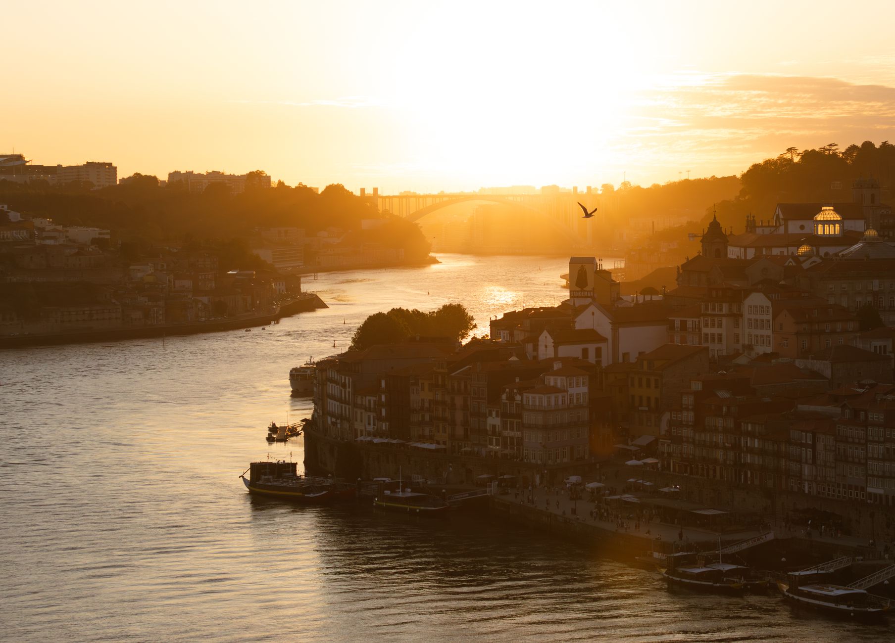 Price Comparison: Cheap Flights Birmingham to Port — Porto travel guide