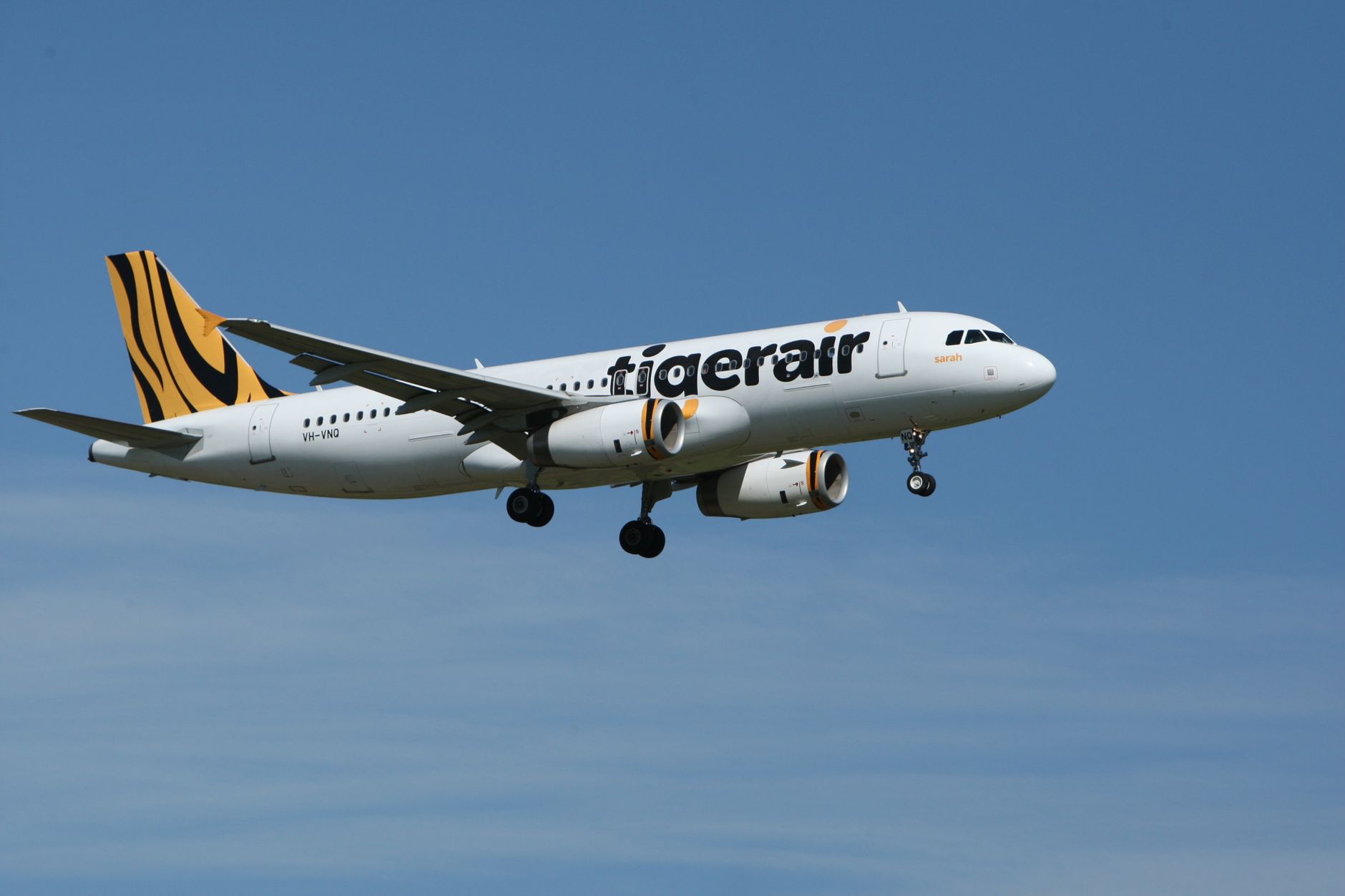 Understanding the Tigerair Fare: What You're Getti — Vienna travel guide