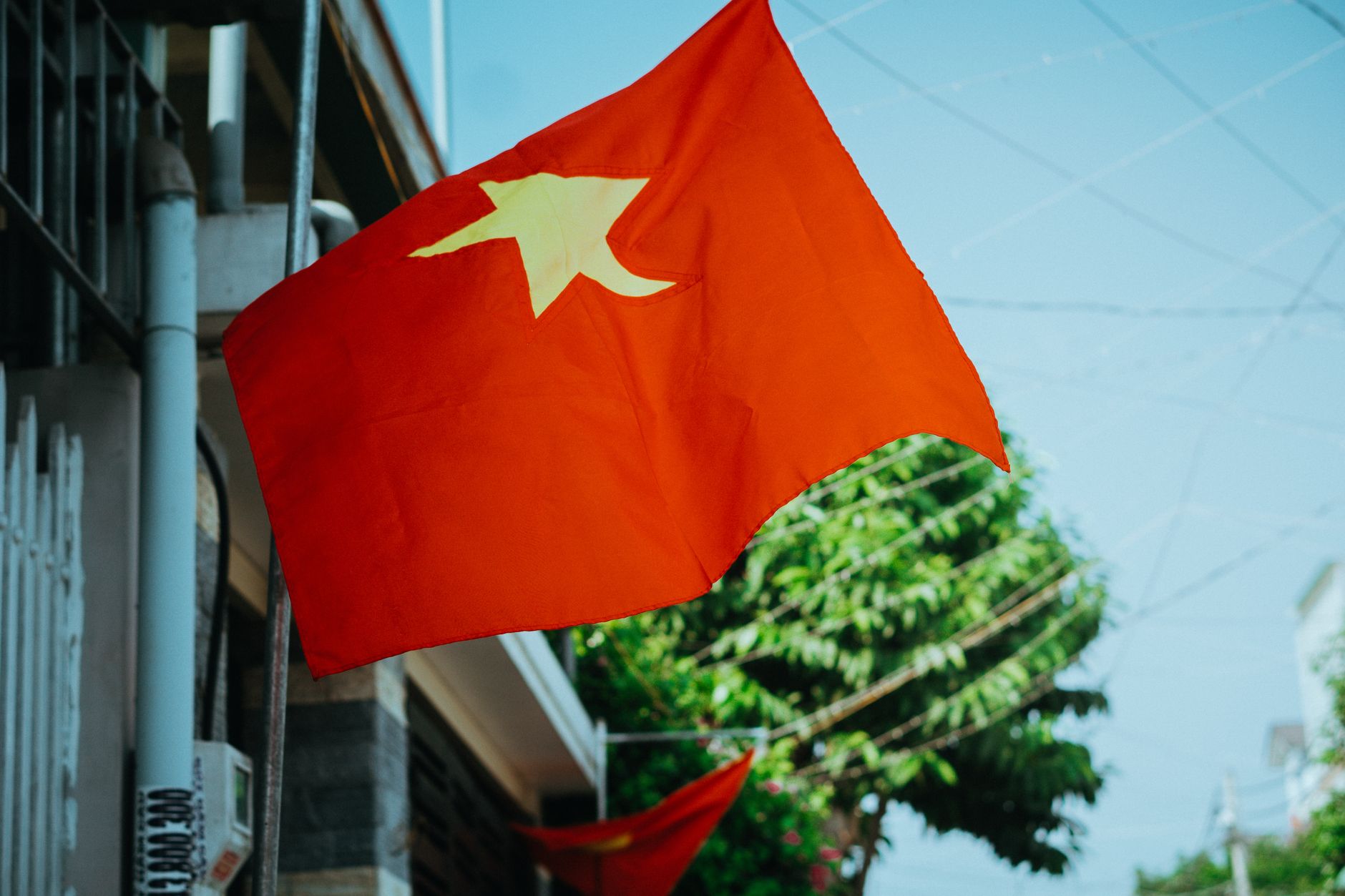 What Is Decree 165 and Why Does It Keep Coming Up? — Vietnam travel guide